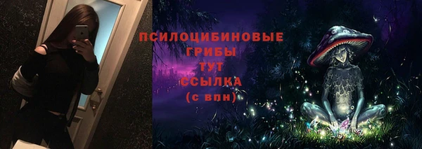не бодяженный Надым