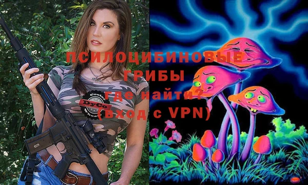 не бодяженный Надым