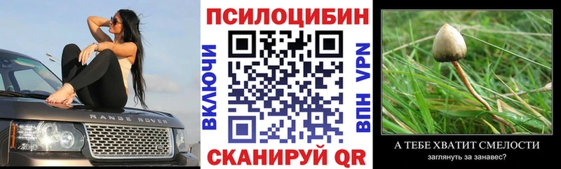 закладка  мориарти какой сайт  Галлюциногенные грибы мухоморы  Горячеводский 